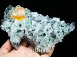 2.1lb Nouveaux Spécimens Minéraux De Quartz De Cristal Vert / Jaune Phantom