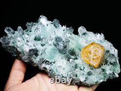 2.1lb Nouveaux Spécimens Minéraux De Quartz De Cristal Vert / Jaune Phantom