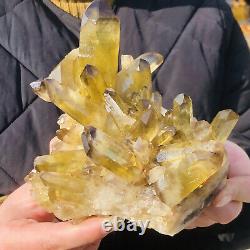 2.24lb Citrine Naturelle Cristal Quartz Cluster Mineral Specimen Healingmk