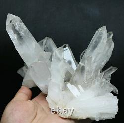 2.29lb D'origine Blanc Clair Obélisque Quartz Cristal Cluster Point De Baguette Specimen