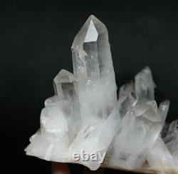 2.29lb D'origine Blanc Clair Obélisque Quartz Cristal Cluster Point De Baguette Specimen
