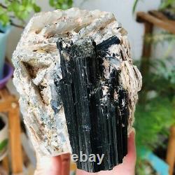 2.3lb Naturel Brut Noir Tourmaline Quartz Cristal Cluster Rough Mineral Specimen