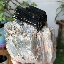 2.3lb Naturel Brut Noir Tourmaline Quartz Cristal Cluster Rough Mineral Specimen