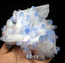 2.46lb Rare Beau Cristal de Quartz Fantôme Tibétain Bleu de Cluster spécimen