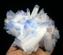 2.46lb Rare Beau Cristal de Quartz Fantôme Tibétain Bleu de Cluster spécimen