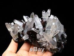 2.4lb Cristal Blanc Cluster Et Forme De Fleur Spécularite Minérale Spécimen / Chine