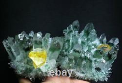 2,52lb Nouveau Trouver Vert/jaune Phantom Quartz Crystal Cluster Mineral Specimen
