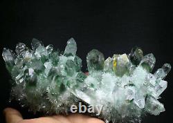 2,52lb Nouveau Trouver Vert/jaune Phantom Quartz Crystal Cluster Mineral Specimen