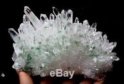 2.61lb Nouveau Trouver Vert Phantom Quartz Cristal Cluster Minérale Spécimen Guérison