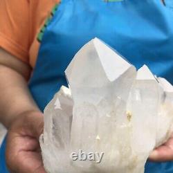 2.75lb Grand Cristal Blanc De Quartz Naturel Cluster Rough Specimen Healing