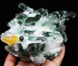 2.85lb Nouveau Trouver Vert/jaune Phantom Quartz Crystal Cluster Mineral Specimen