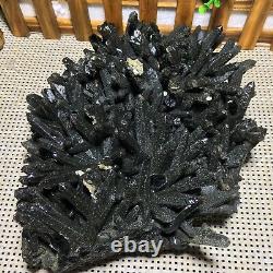 2.95kg Natural Beautiful Black Quartz Cristal Cluster Mineral Specimen Rare