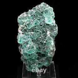 2.97lb Naturel Émeraude Verte Émeraude Fluorite Cristal Cluster Mineral Specimen