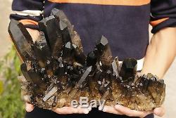 20.17lb Aaa Rare Naturel Beau Noir Quartz Crystal Cluster Spécimen Tibétain