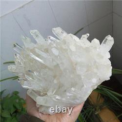 2140g Magnifique amas de cristaux de quartz clair naturel blanc spécimen #D4
