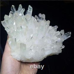 2140g Magnifique amas de cristaux de quartz clair naturel blanc spécimen #D4