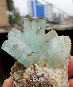 216 Grams Incroyable Superbe Belle Aigue-marine Crystal Bunch Sur La Matrice @ Pak