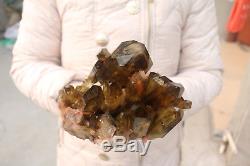 2220g Naturel Belle Citrine Smoke Quartz Crystal Cluster Spécimen Tibétain