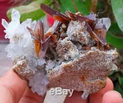 225-monde-rare-brookite-minéral-d. Specimen-cluster-combine-quartz-de-pk