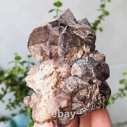 254g Natural Améthyst Quartz Cristal Cluster Geode Rough Mineral Specimens
