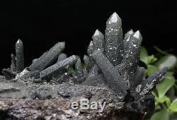 2820g Nouveau Rare Naturel Squelettique Elestial Vert Quartz Crystal Cluster Specimen