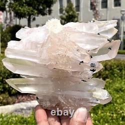 3,02LB Amas de cristaux naturels en quartz, spécimen minéral