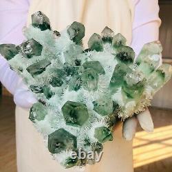 3.06lb Trouver Green Phantom Quartz Crystal Cluster Mineral Specimen Healing F859