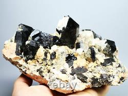 3,16 lb Spécimen minéral rare de cristal de QUARTZ noir naturellement beau