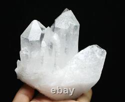 3.16lb Naturel Beau Cristal Blanc Quartz Cluster Point Spécimen Minéral