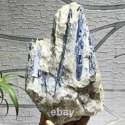 3.1lb Cyanite Naturelle Quartz Cristal Cyanite Cluster Rough Mineral Specimens
