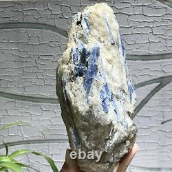 3.1lb Cyanite Naturelle Quartz Cristal Cyanite Cluster Rough Mineral Specimens