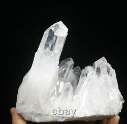 3.1lb Naturel Beau Cristal Blanc Quartz Point De Cluster Minéral Specimen
