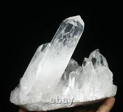 3.1lb Naturel Beau Cristal Blanc Quartz Point De Cluster Minéral Specimen