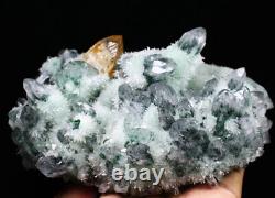 3.31lb Nouveau Trouver Vert/jaune Phantom Quartz Crystal Cluster Mineral Specimen