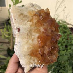 3.3lb Smoky Quartz Cristal Cluster Vug Rough Mineral Specimen Naturel