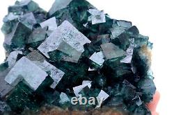 3.48lb Viridis Naturelles Cubic Fluorite Crystal Cluorite Cluster Mineral Specimen