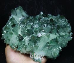 3,49 lb RARE! Nouvelle découverte spécimen de cluster de cristaux de quartz vert naturel et beau