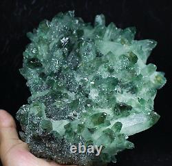 3,49 lb RARE! Nouvelle découverte spécimen de cluster de cristaux de quartz vert naturel et beau