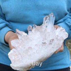3.56lb Naturel Blanc Transparent Quartz Cristal Cluster Specimenhealing 235