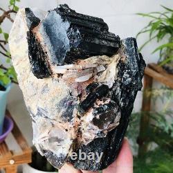 3.58lb Natural Black Tourmaline Quartz Cristal Cluster Rough Mineral Specimens