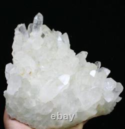 3.65lb Naturel Belle Blanc Quartz Cristal Point De Cluster Minéral Spécimen