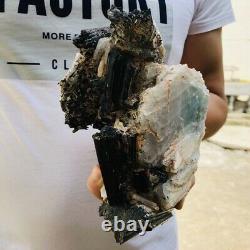 3.6lb Naturel Brut Noir Tourmaline Quartz Cristal Cluster Rough Mineral Specimen
