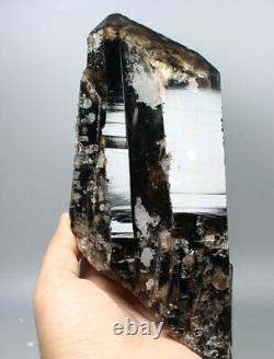 3.75lb Naturel Rare Beau Noir Quartz Cristal Cluster Minéral Spécimen