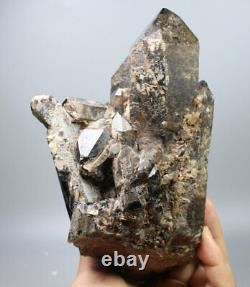 3.75lb Naturel Rare Beau Noir Quartz Cristal Cluster Minéral Spécimen