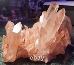 3 livres 14 onces Cluster de cristaux de quartz de l'Himalaya 8,5 x 5,5 x 4,5 Stock américain
