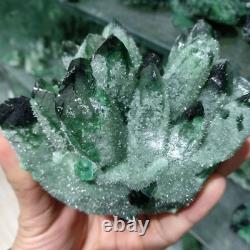 300-900g Phantom Fantôme Vert Naturel Quartz Cristal Cluster Healing Specimen