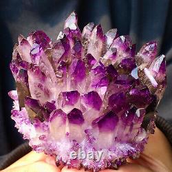 302g Nouveau Trouver Violet Phantom Quartz Cristal Cluster Minéral Specimen Hea A563