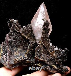 313g Calcite Naturel Grandir Avec Le Chalcopyrite Cristal Cluster Specimen/hubei