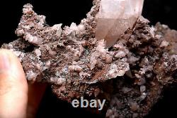 313g Calcite Naturel Grandir Avec Le Chalcopyrite Cristal Cluster Specimen/hubei