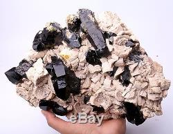 3145g Naturel Rare Beau Spécimen Minéral En Grappe De Quartz Noir Quartz